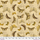 Tim Holtz Eclectic Elements Palette - Yellow Specimen - Yellow - The Green Fern Quilt Co.