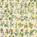 Tim Holtz Eclectic Elements Palette - Yellow Botanical - Yellow - The Green Fern Quilt Co.