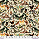 Tim Holtz Eclectic Elements Palette - Teal Butterflies - Teal - The Green Fern Quilt Co.