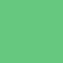 Tula Pink Solids - Cricket