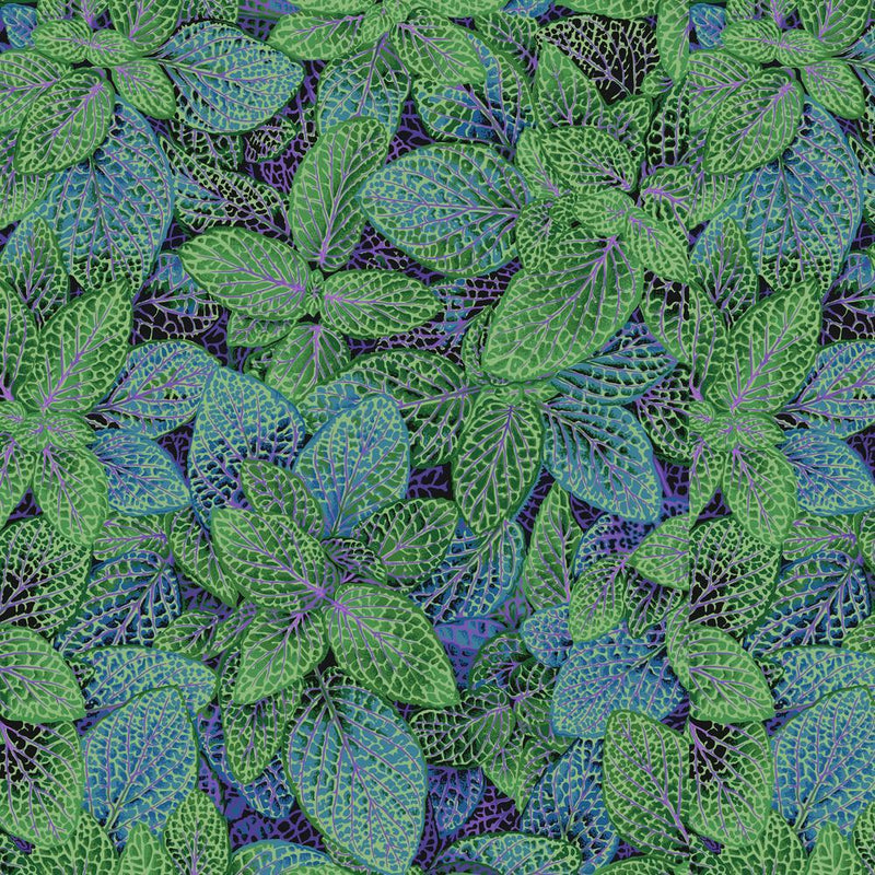 Kaffe Fassett - August 2024 Collective - Fittonia - Green