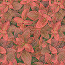 Kaffe Fassett - August 2024 Collective - Fittonia - Red - The Green Fern Quilt Co.