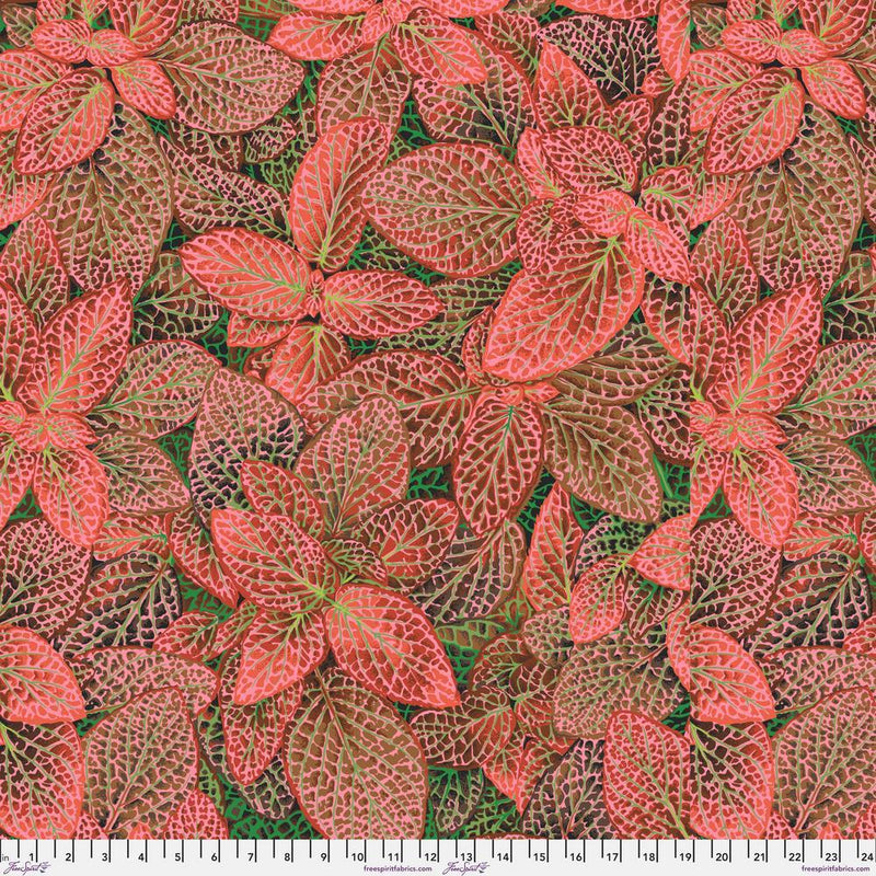 Kaffe Fassett - August 2024 Collective - Fittonia - Red