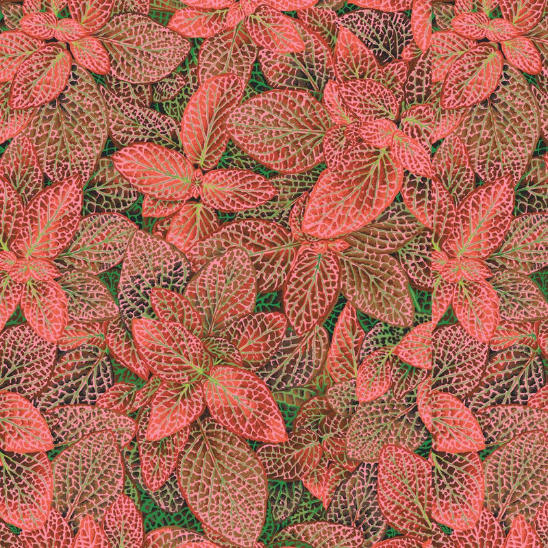 Kaffe Fassett - August 2024 Collective - Fittonia - Red