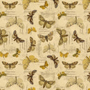 Tim Holtz Eclectic Elements Palette - Yellow Specimen - Yellow - The Green Fern Quilt Co.