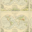 Tim Holtz Eclectic Elements Palette - Green Map - Green - The Green Fern Quilt Co.