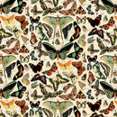 Tim Holtz Eclectic Elements Palette - Teal Butterflies - Teal - The Green Fern Quilt Co.