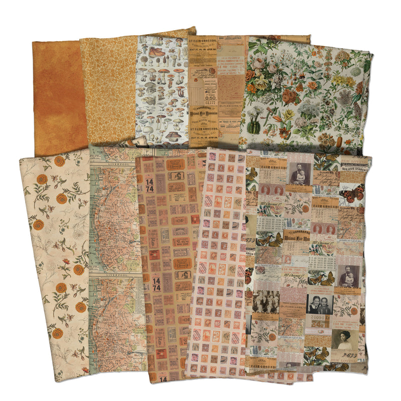 Tim Holtz Eclectic Elements Palette - Orange Botanical - Orange