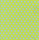 Spot - Apple - Kaffe Fassett Classics - The Green Fern Quilt Co.