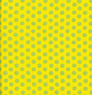 Spot - Yellow - Kaffe Fassett Spot Classics - The Green Fern Quilt Co.