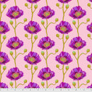 Anna Maria Horner - Bright Eyes - Cheering Section - Blush - The Green Fern Quilt Co.