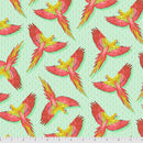 Tula Pink - Daydreamer - Macaw Ya Later - Mango- FreeSpirit Fabrics - The Green Fern Quilt Co.